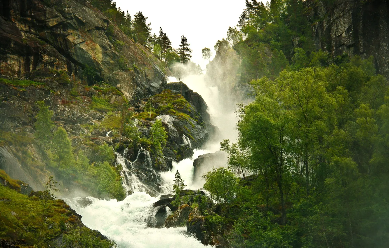 Photo wallpaper forest, nature, fog, waterfall, pair, haze