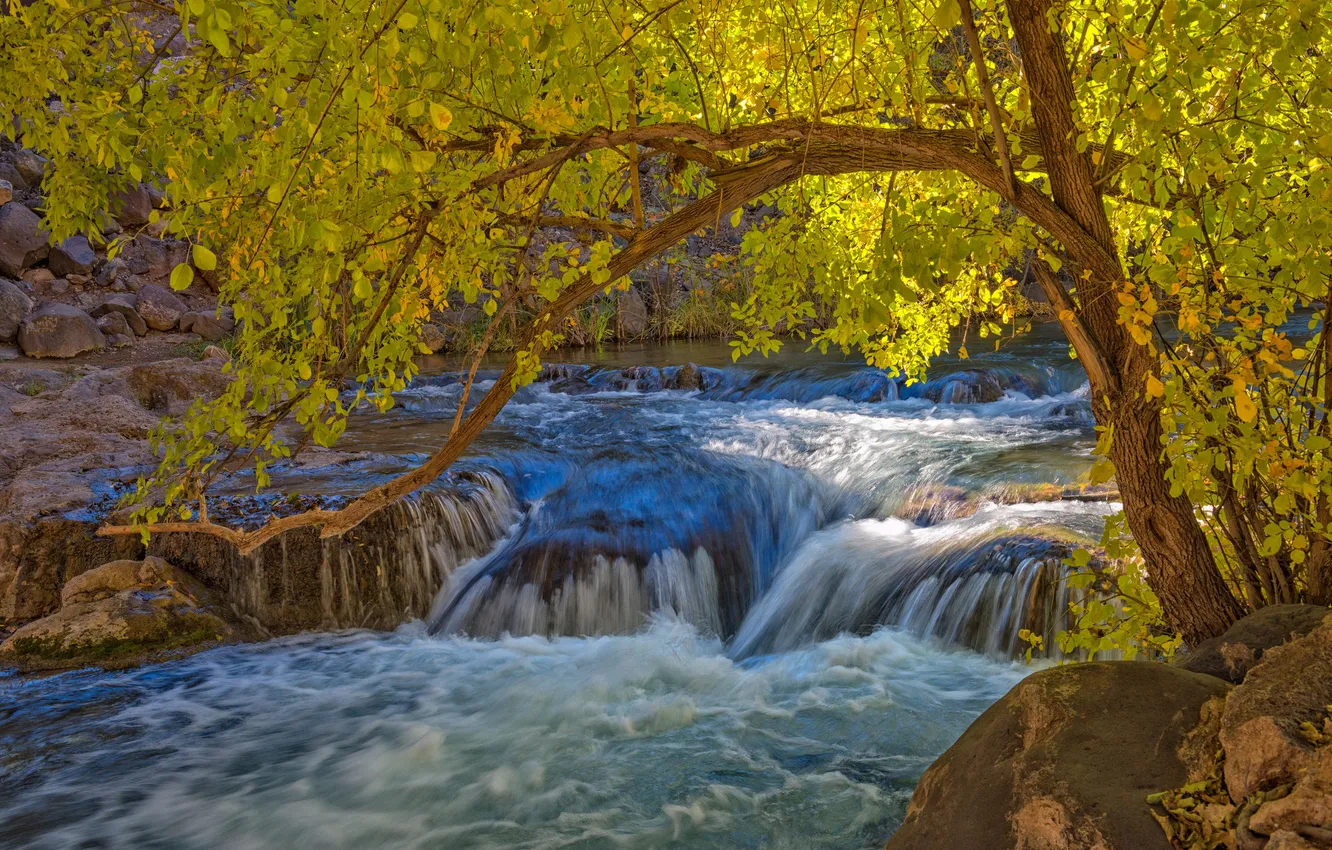 Photo wallpaper autumn, trees, river, stones, thresholds