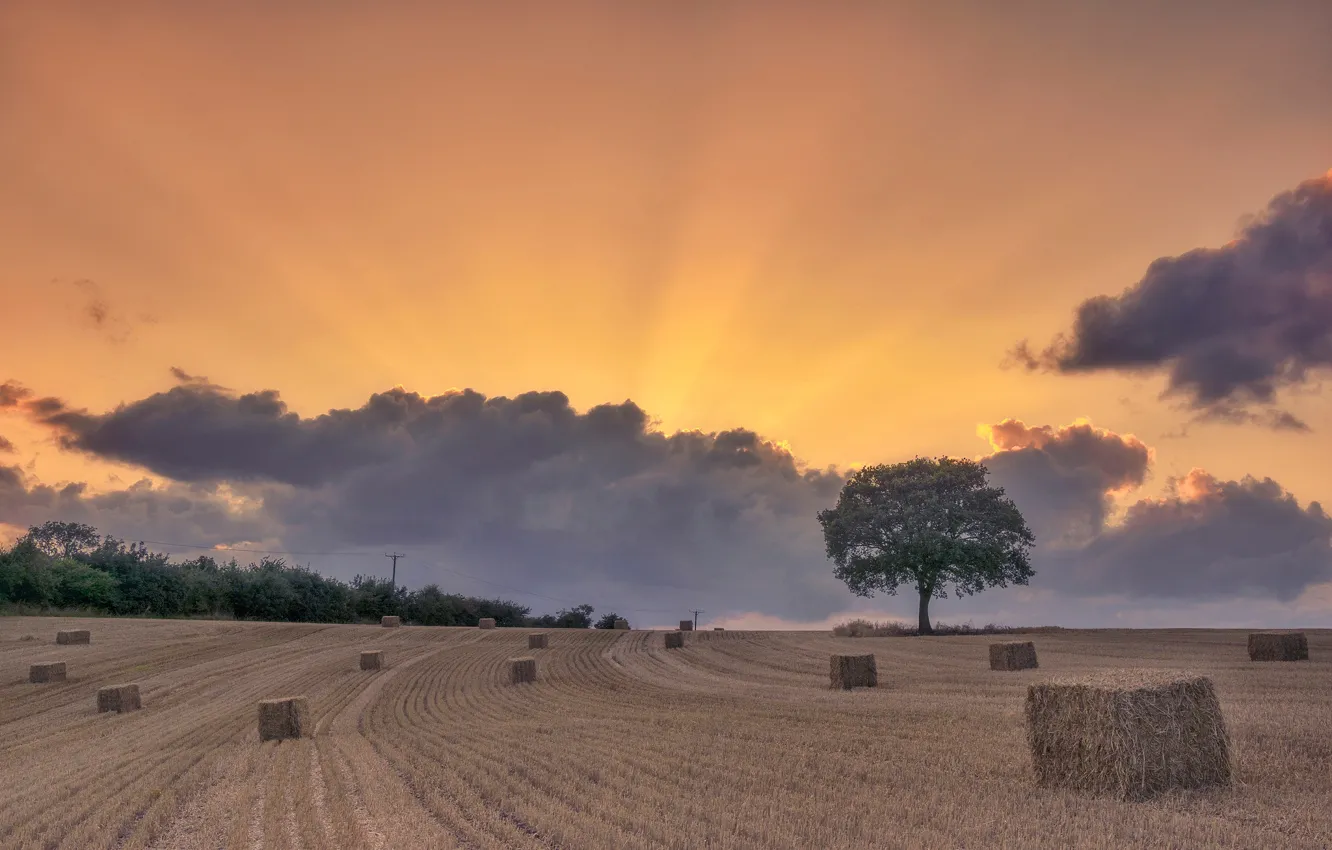 Photo wallpaper field, clouds, trees, England, straw, Derbyshire