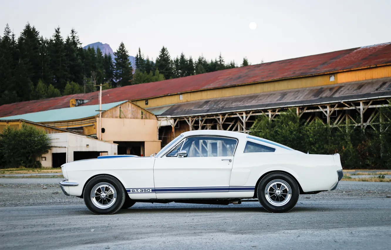 Photo wallpaper Ford Mustang Shelby GT350, side view, Mustang, Ford