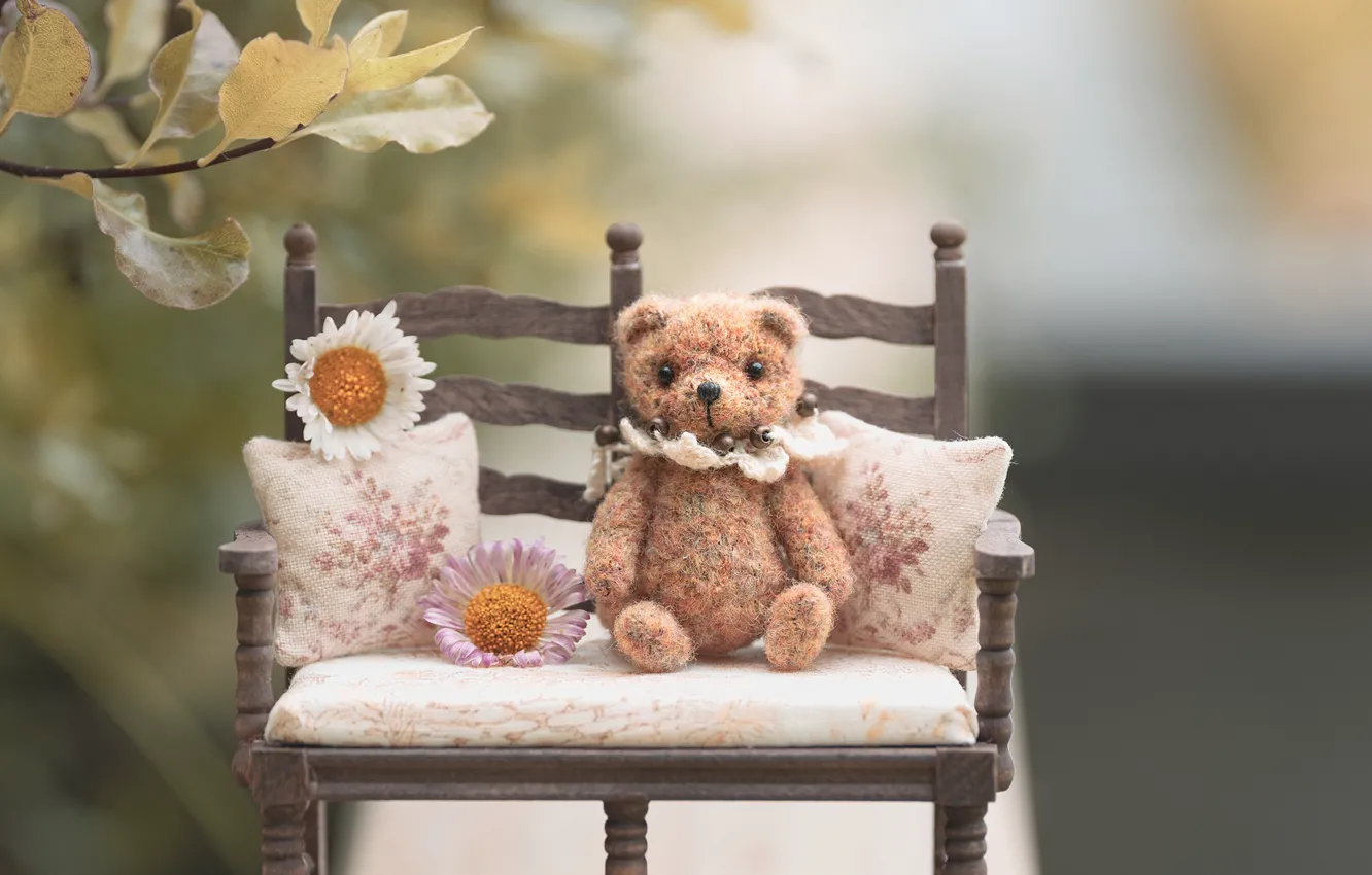 Photo wallpaper toy, bear, the couch