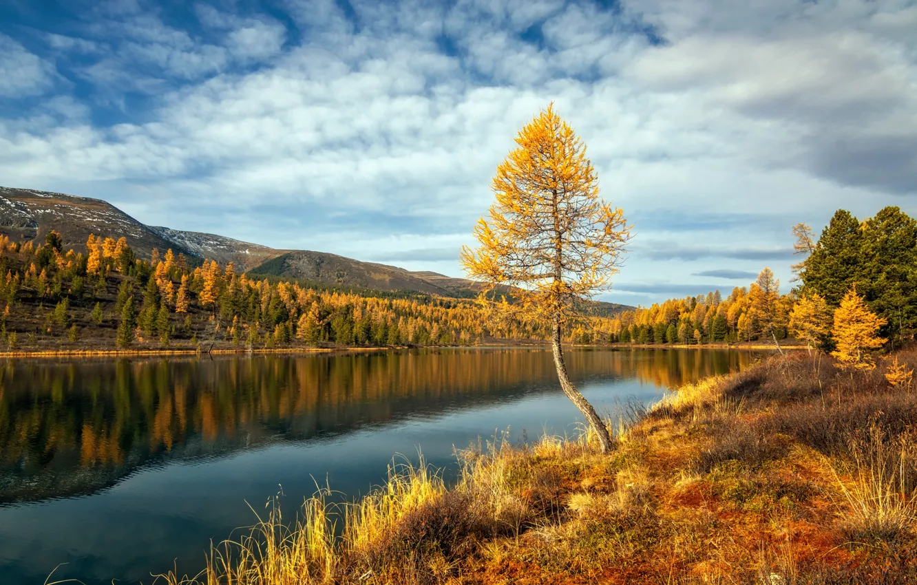 Photo wallpaper autumn, landscape, mountains, nature, lake, Kazakhstan, Kok-Kol
