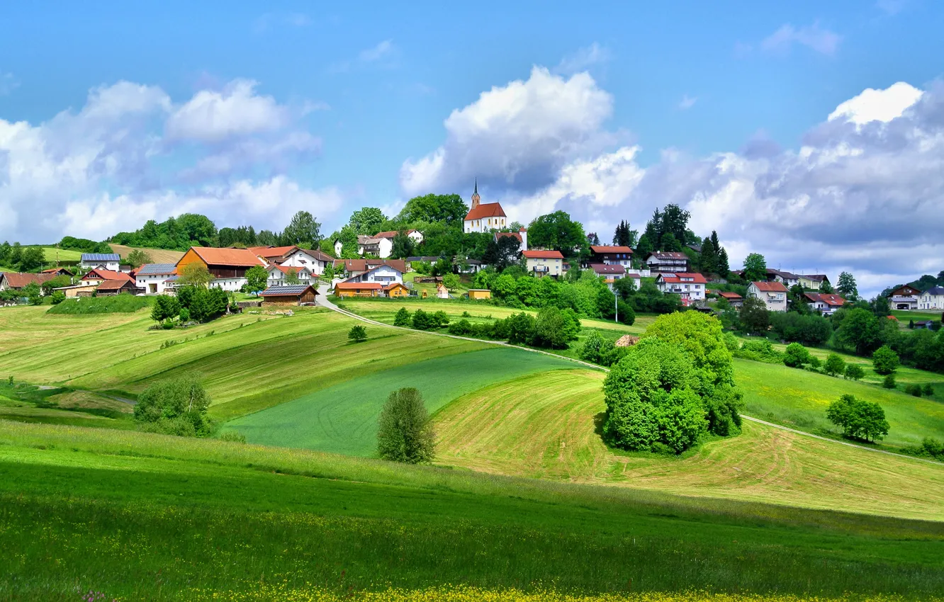 Photo wallpaper the sky, grass, trees, the city, hills, home, Germany, Kirchberg