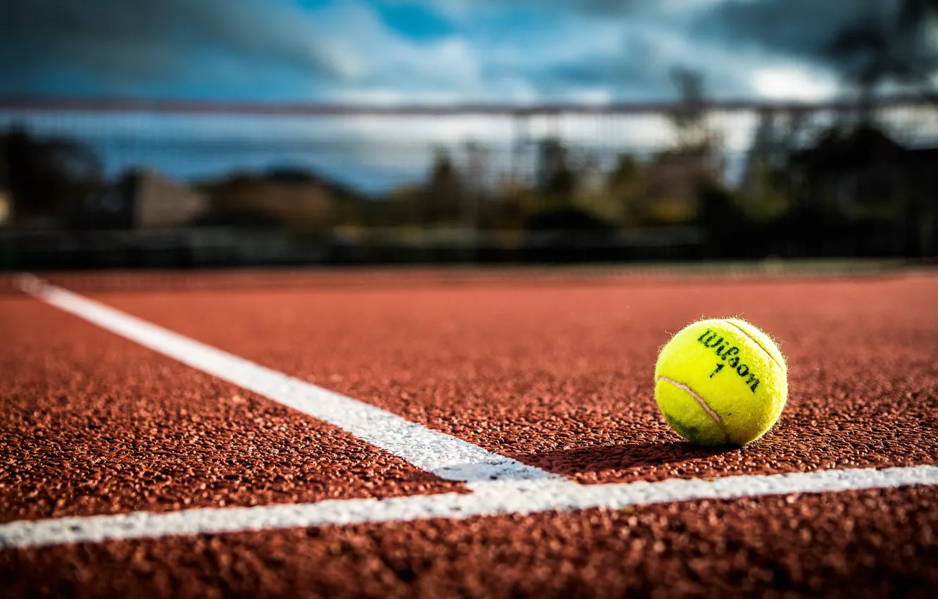 Photo wallpaper mesh, markup, the ball, tennis, bokeh, court