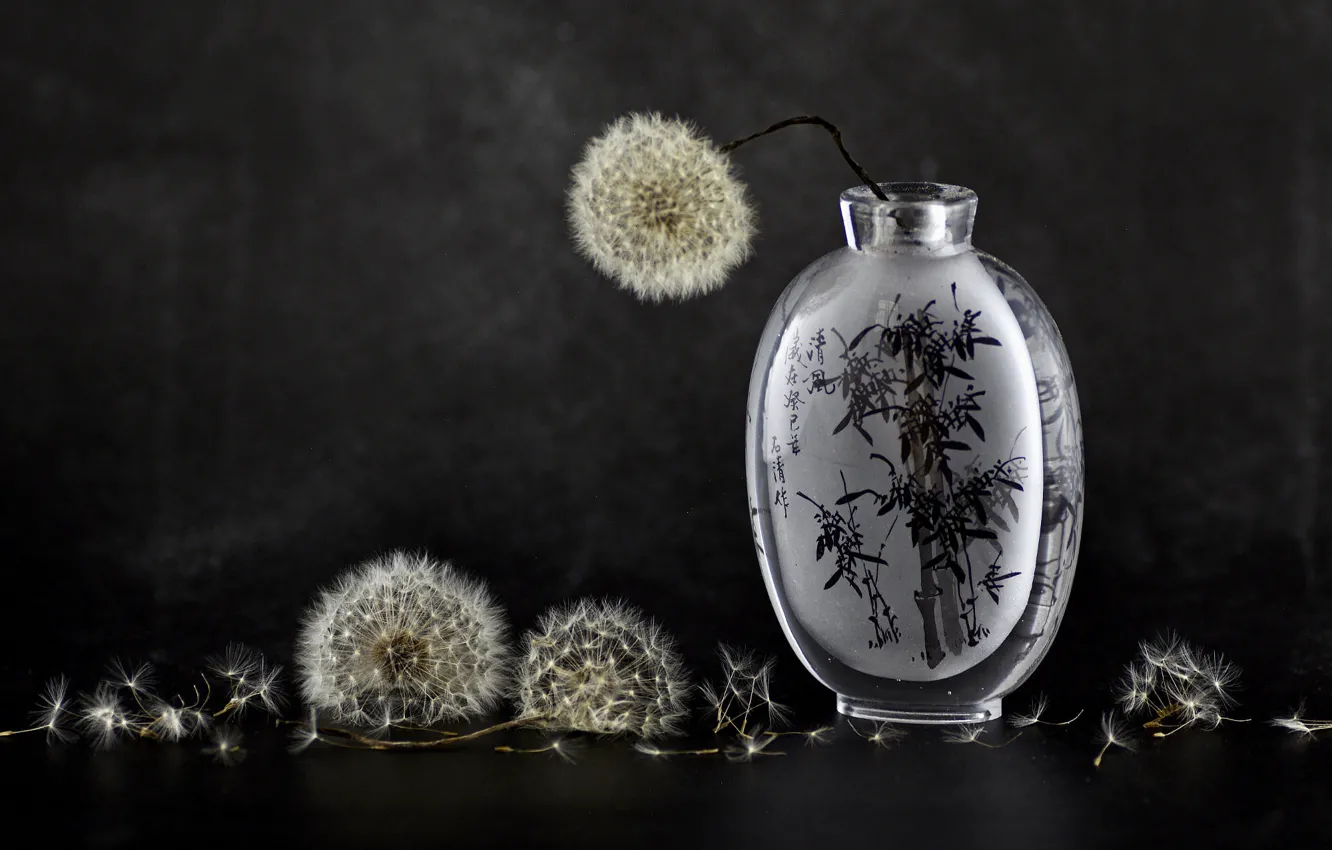 Photo wallpaper flowers, the dark background, dandelion, bouquet, characters, vase, still life, the parachutes