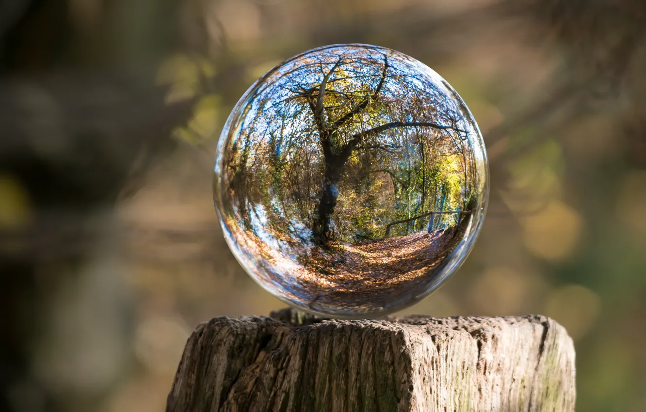 Photo wallpaper glass, nature, reflection, balls, sphere, lenses