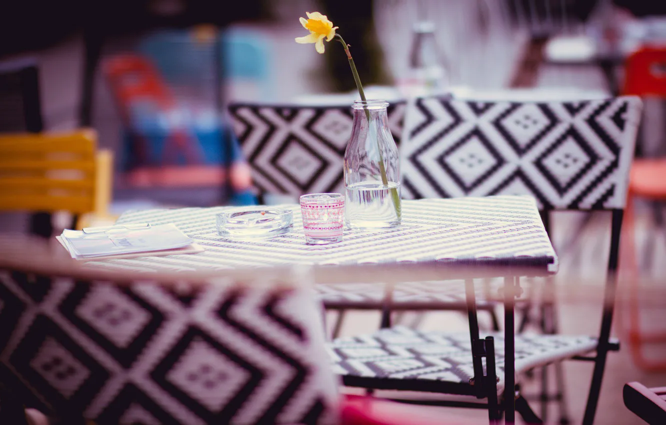 Photo wallpaper flower, table, chair, ashtray
