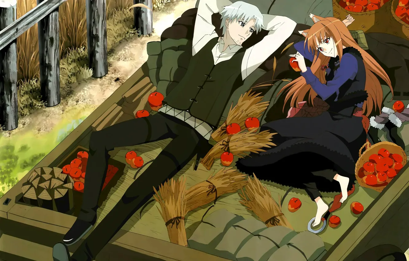 Photo wallpaper basket, apples, wagon, two, journey, bags, spice and wolf, horo