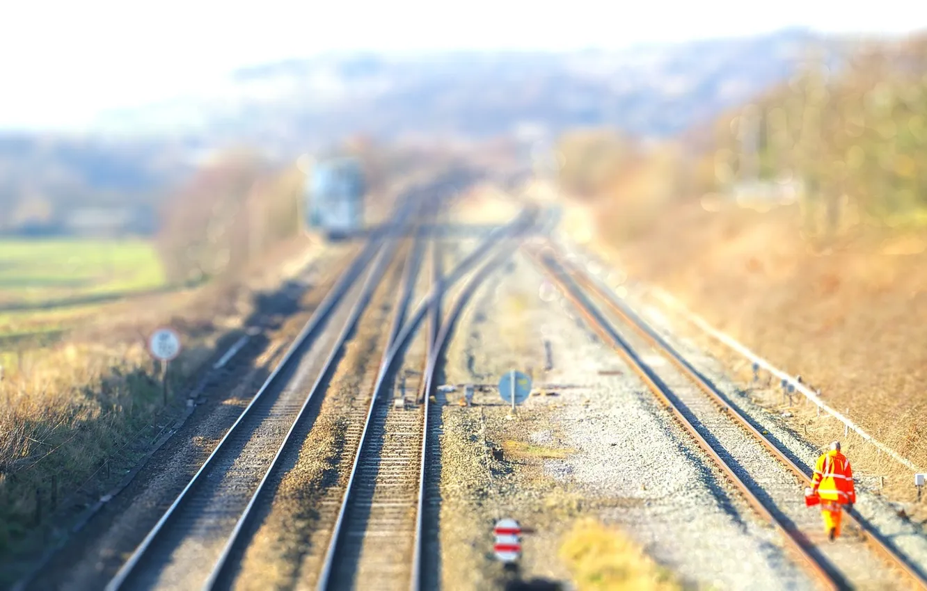 Photo wallpaper road, greens, grass, macro, nature, the city, earth, sign