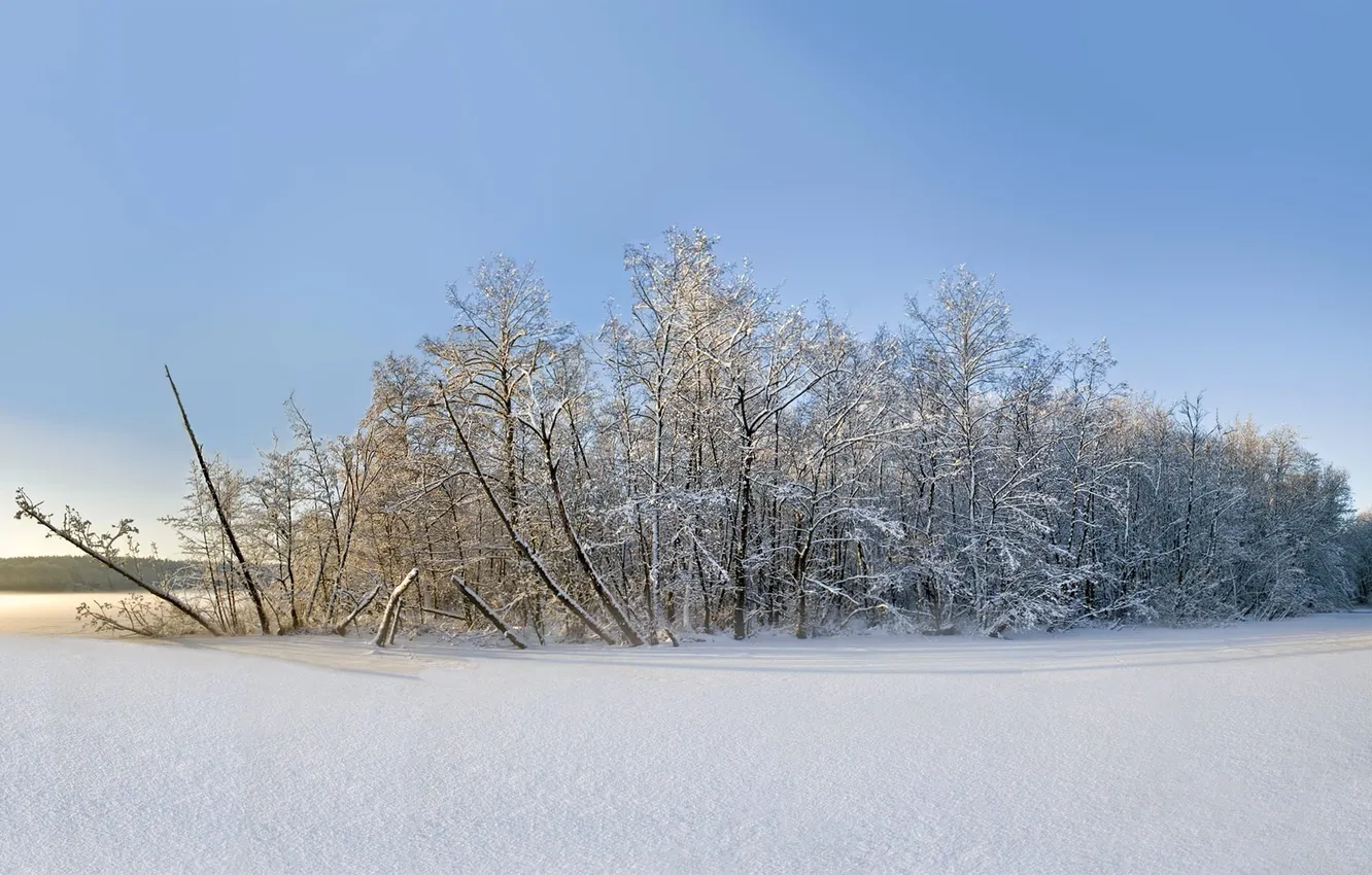 Photo wallpaper winter, snow, landscape