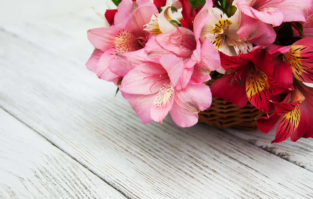 Photo wallpaper table, basket, bouquet, pink, Alstroemeria, Olena Rudo