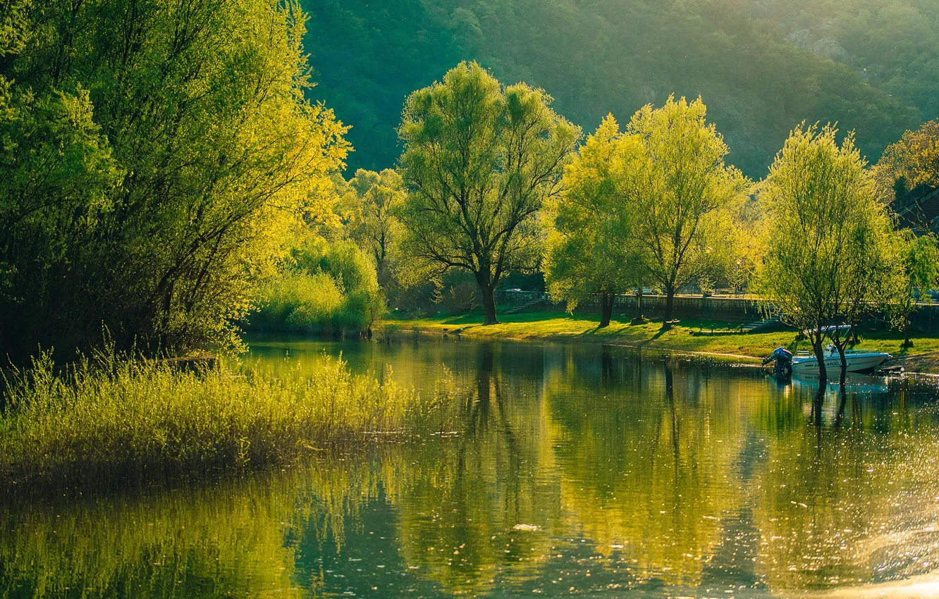 Photo wallpaper greens, forest, the sun, trees, river, boat, Montenegro, Rijeka Crnojevica
