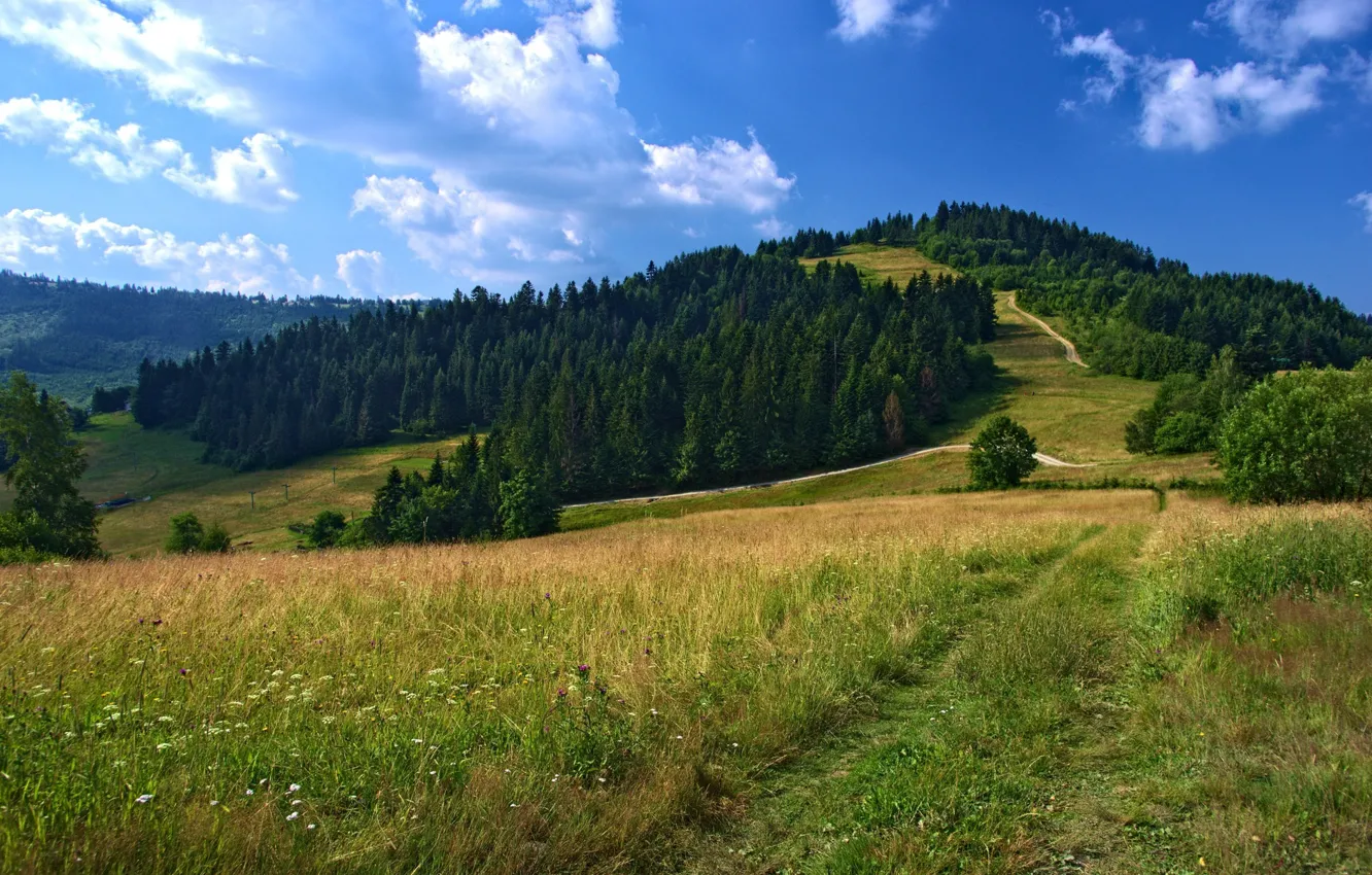 Photo wallpaper road, slope, hill