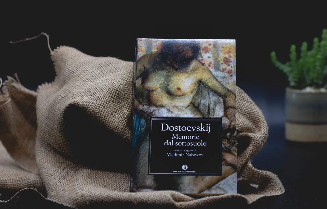 Photo wallpaper the dark background, Nabokov, book, figure, burlap, still life, chest, woman