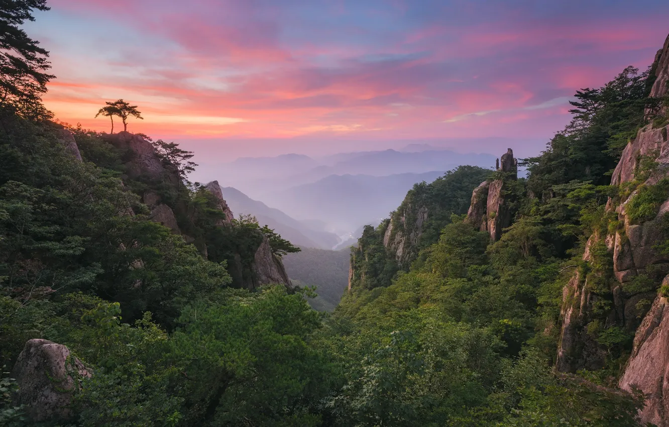 Photo wallpaper forest, the sky, clouds, mountains, rocks, valley