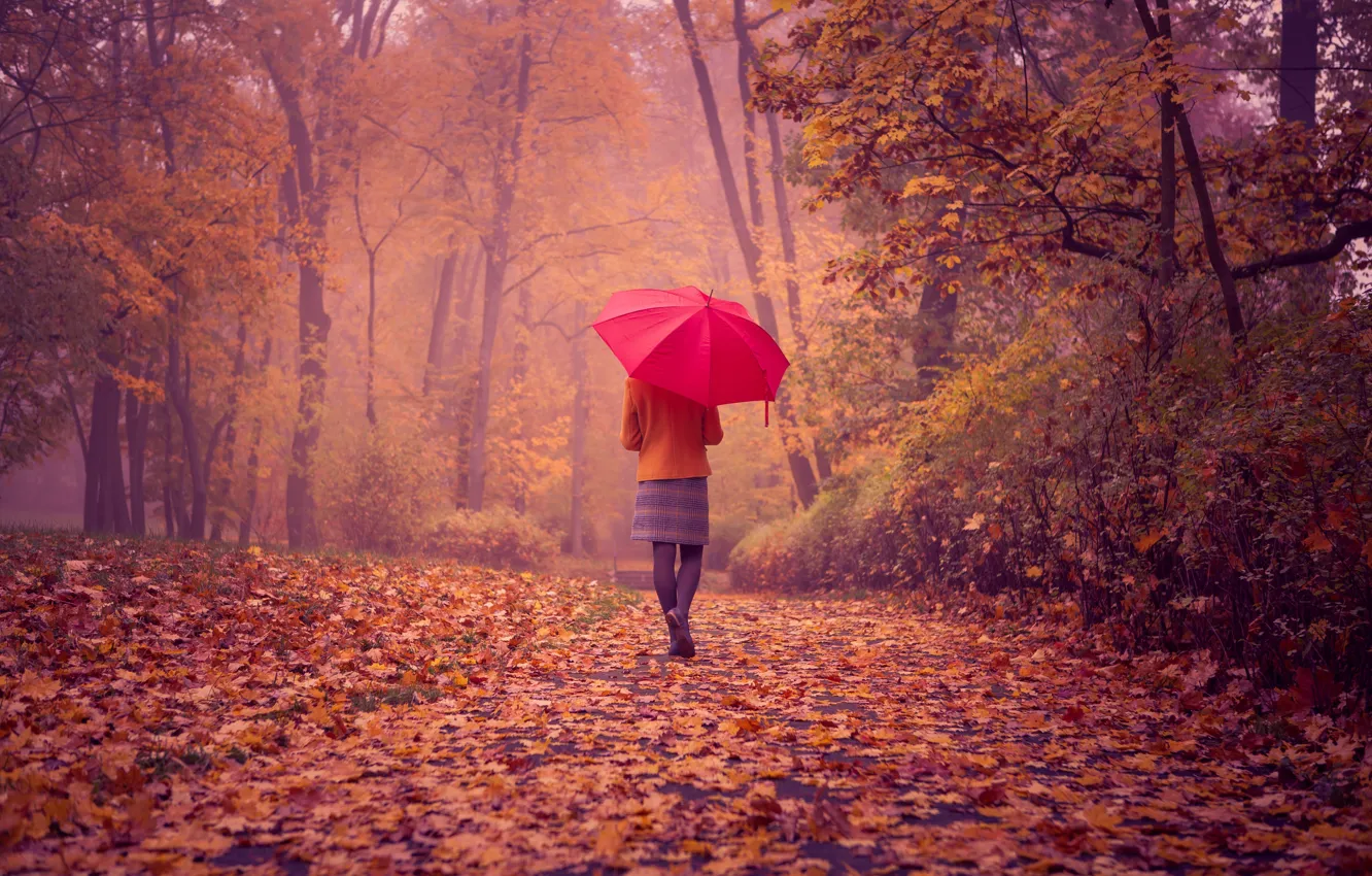 Photo wallpaper road, autumn, girl, landscape, foliage, back, red umbrella