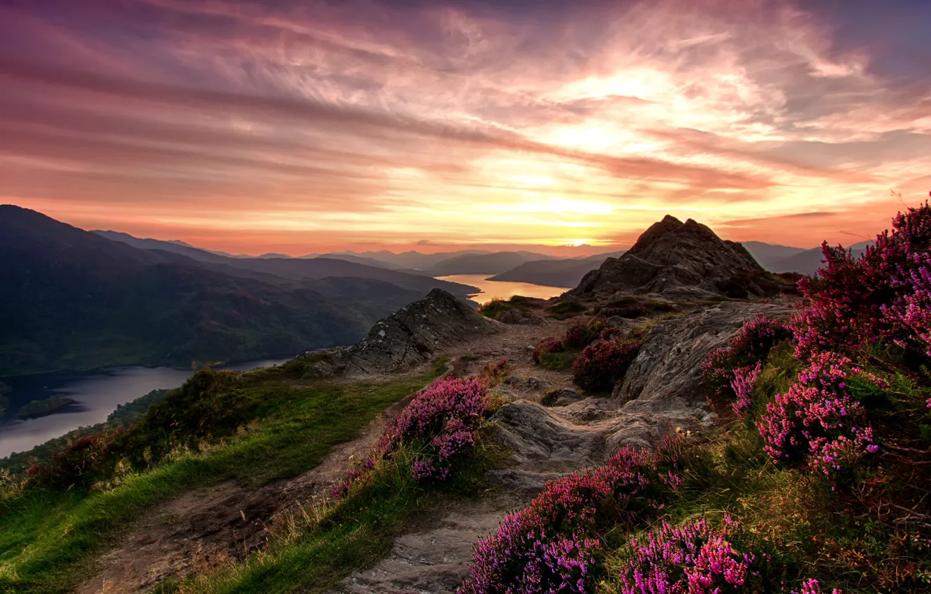 Photo wallpaper the sky, grass, flowers, mountains, river, stones, Scotland, glow