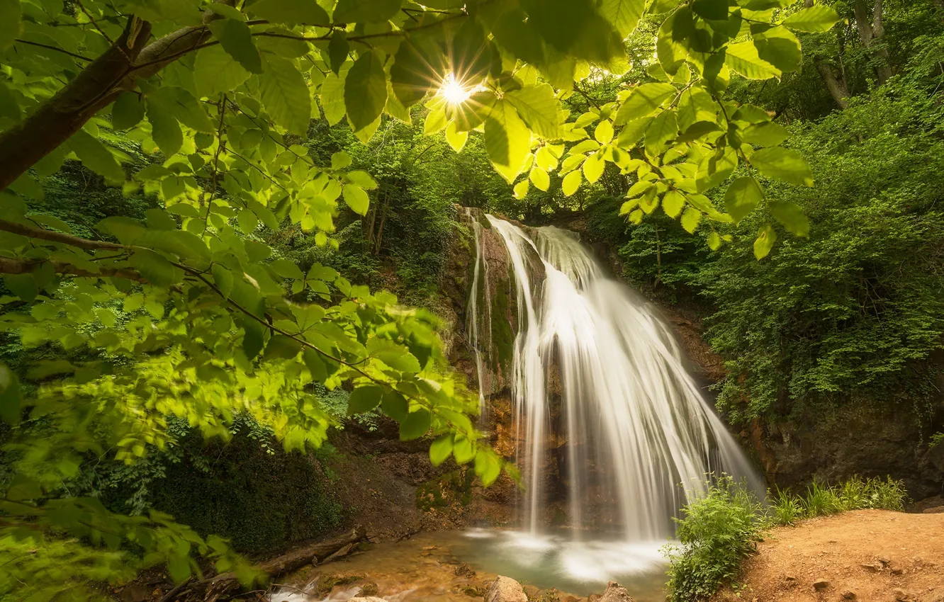 Photo wallpaper leaves, water, the sun, trees, waterfall
