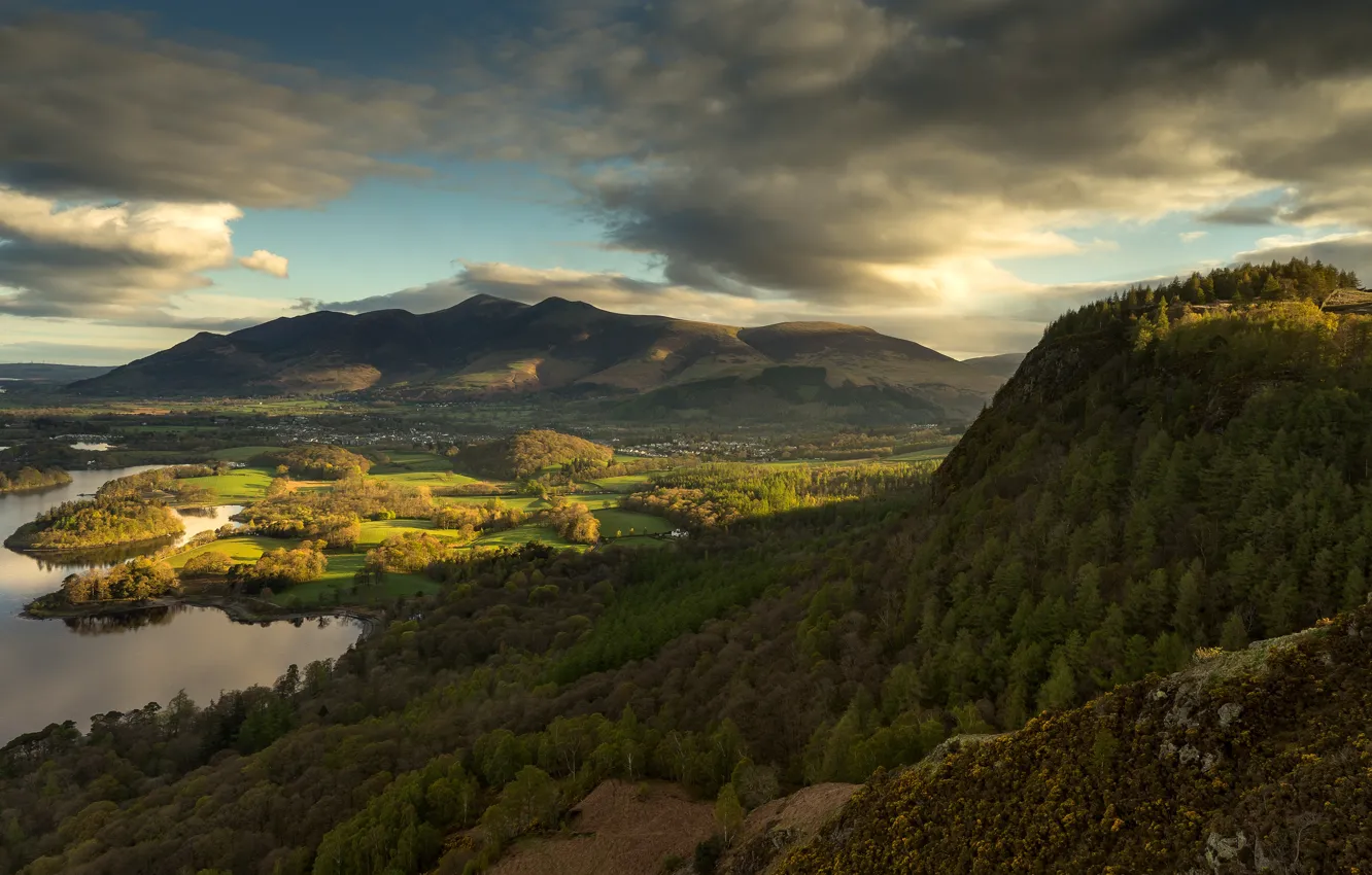 Photo wallpaper greens, field, autumn, forest, summer, the sky, clouds, light