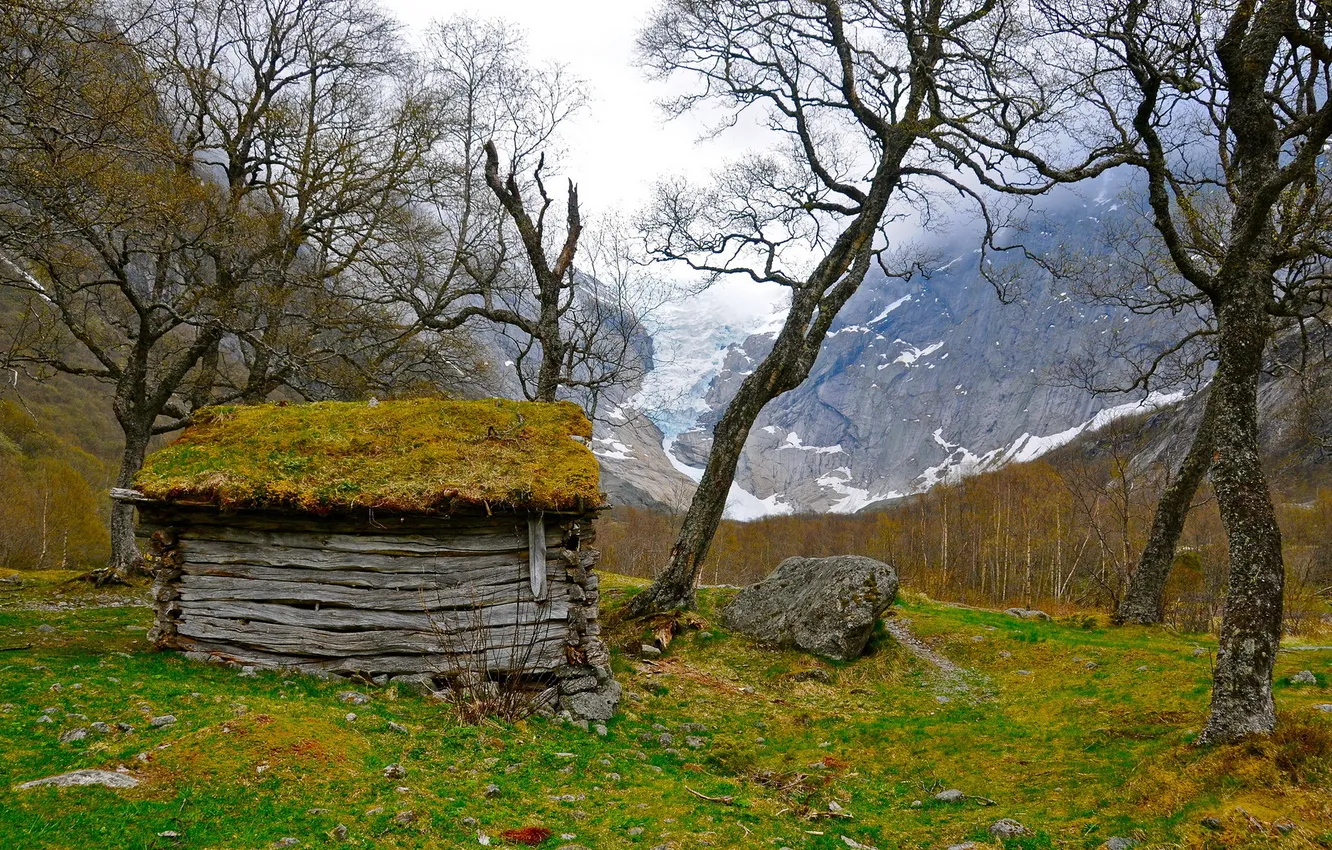Photo wallpaper mountains, nature, home