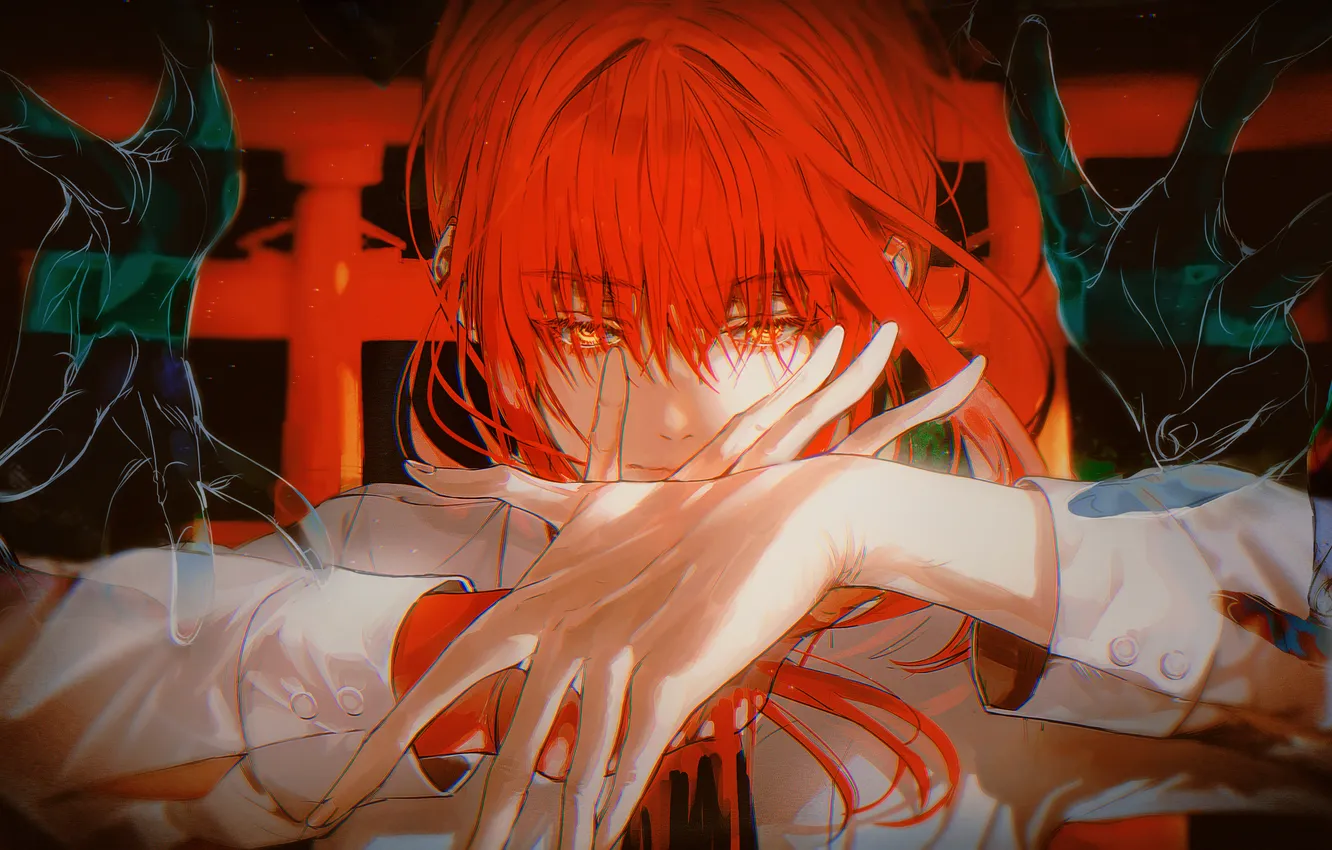 Photo wallpaper girl, hands, torii, Chainsaw Man, Makima