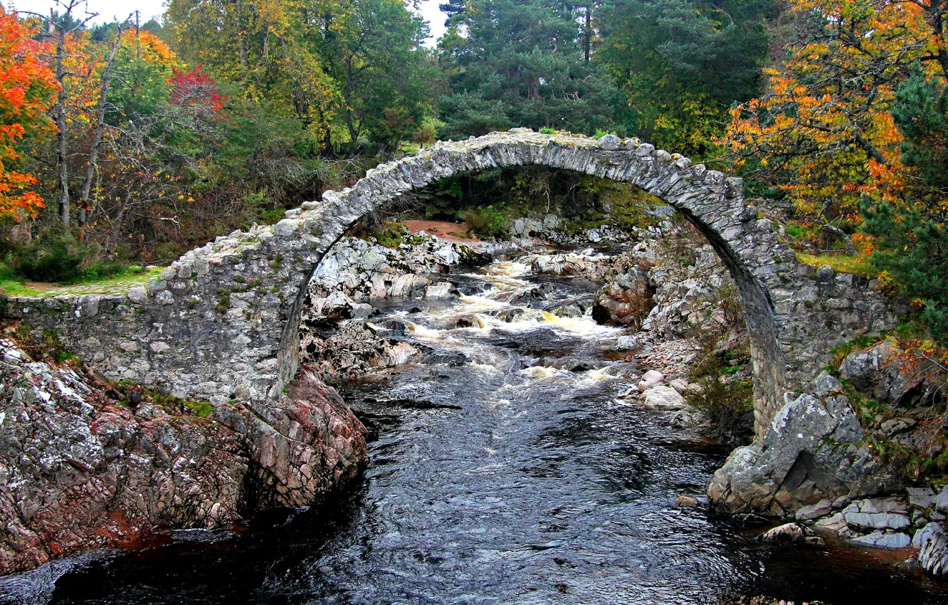Photo wallpaper autumn, the sky, trees, bridge, river, stones
