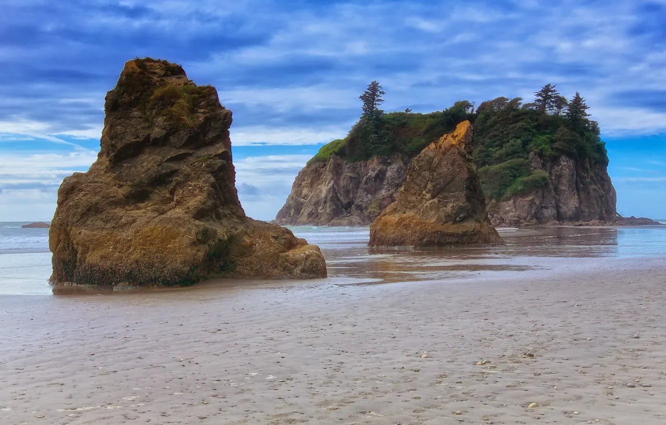 Photo wallpaper sand, sea, the sky, water, rocks, shore, vegetation