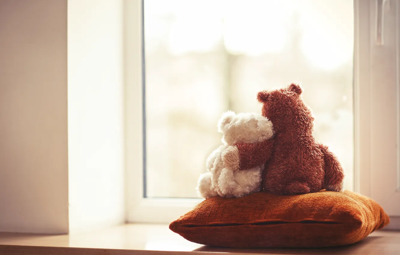 Photo wallpaper love, each, toy, pillow, bear, window, bear, pair