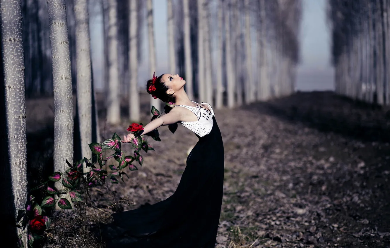 Photo wallpaper girl, pose, background