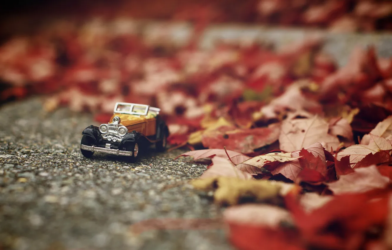 Photo wallpaper machine, leaves, macro