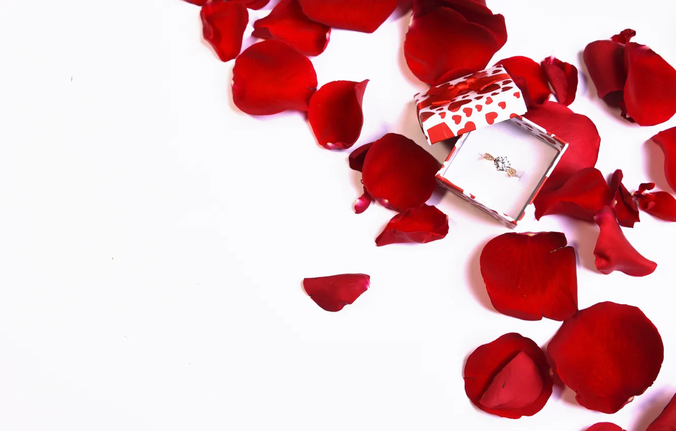 Photo wallpaper box, petals, ring, offer, Morganval