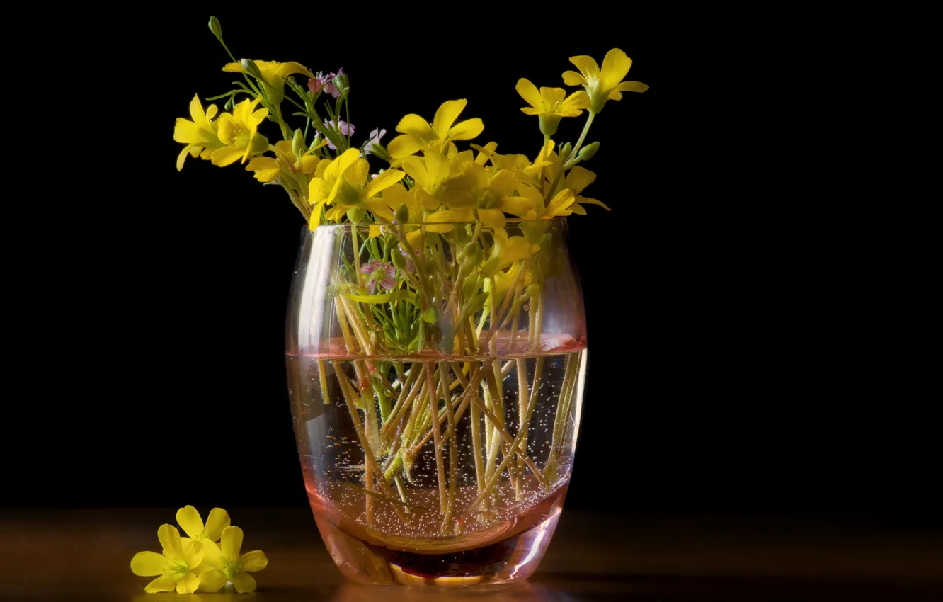 Photo wallpaper glass, water, flowers, glass, glass, bouquet, yellow, black background