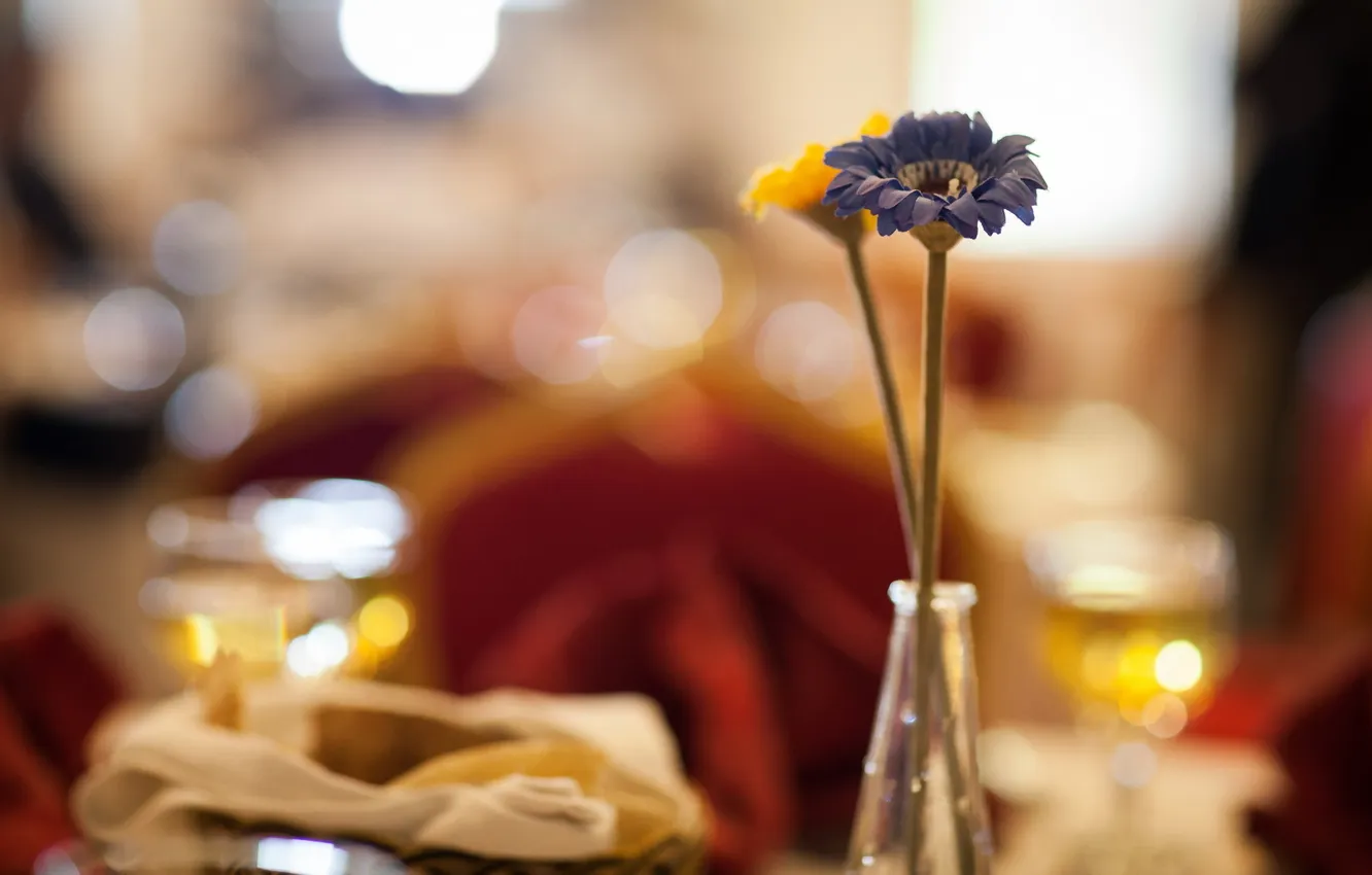 Photo wallpaper light, flowers, background