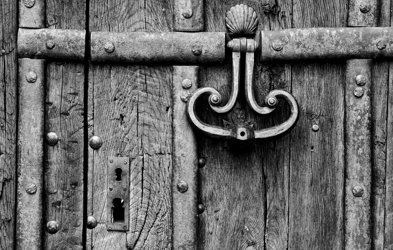 Photo wallpaper wood, door, caller