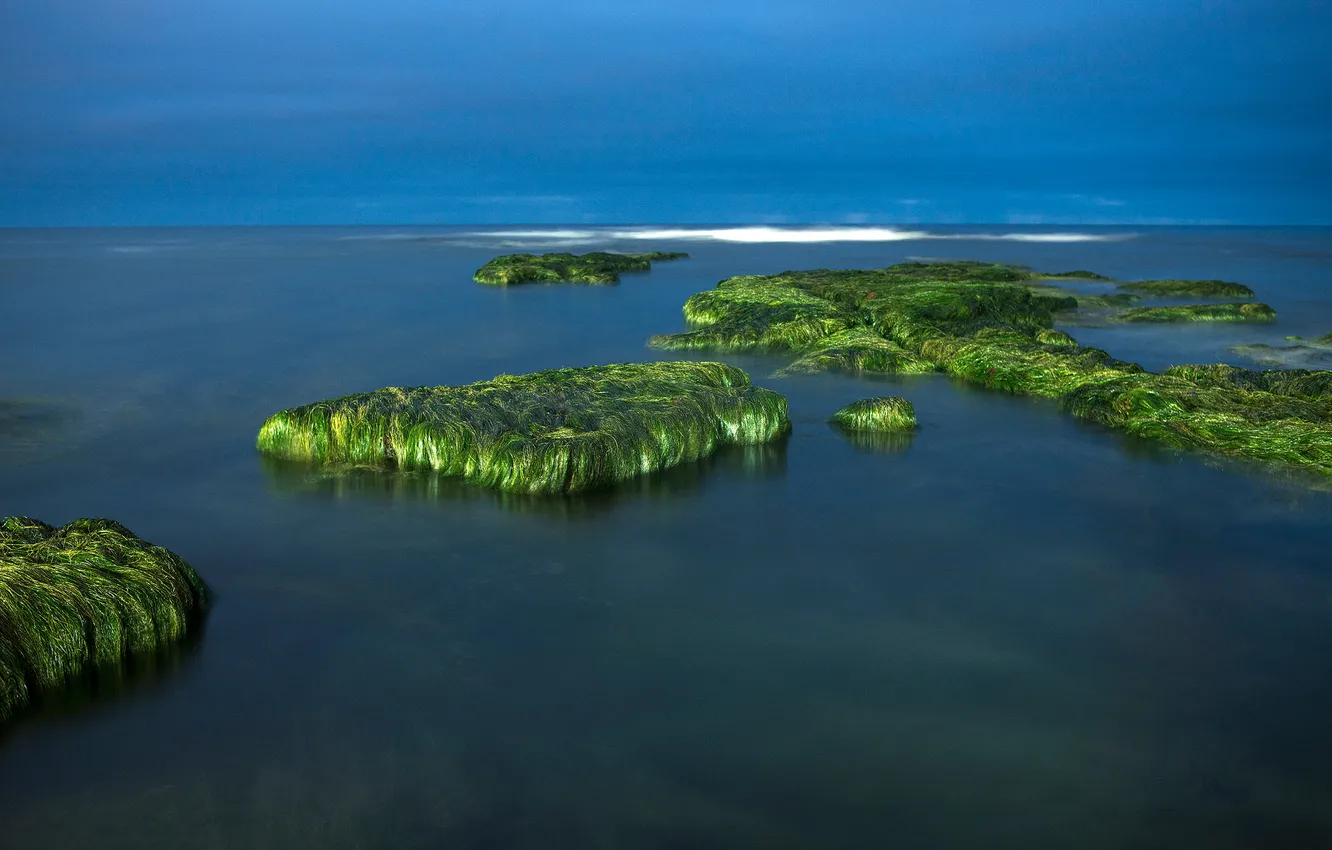 Photo wallpaper sea, the sky, algae, stones, rocks, horizon