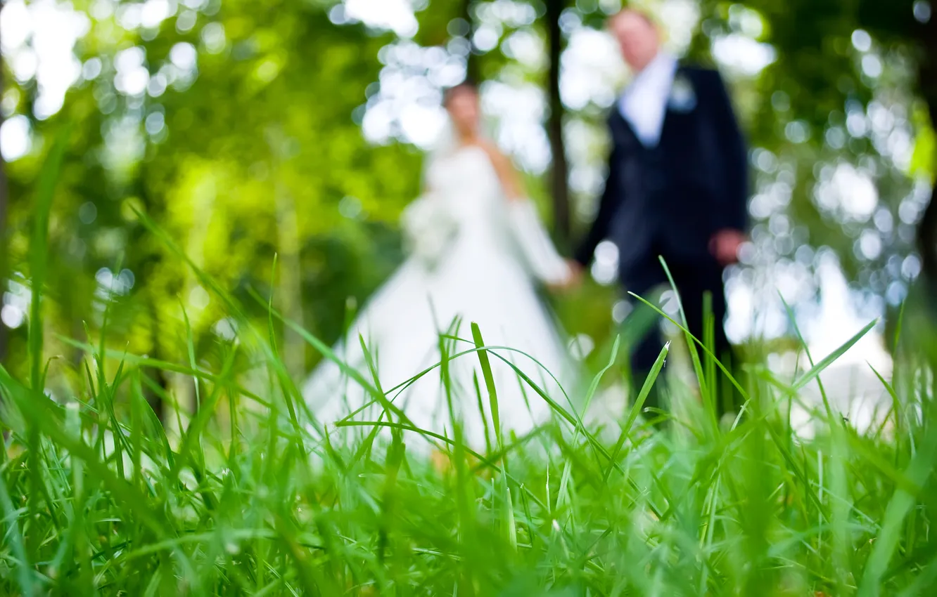 Photo wallpaper greens, grass, girl, pair, guy, wedding