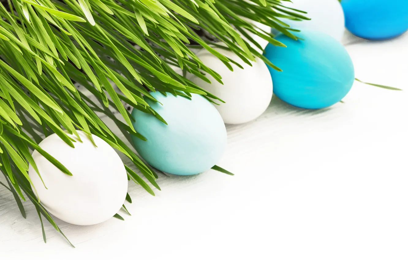 Photo wallpaper grass, flowers, eggs, spring, Easter, flowers, spring, Easter