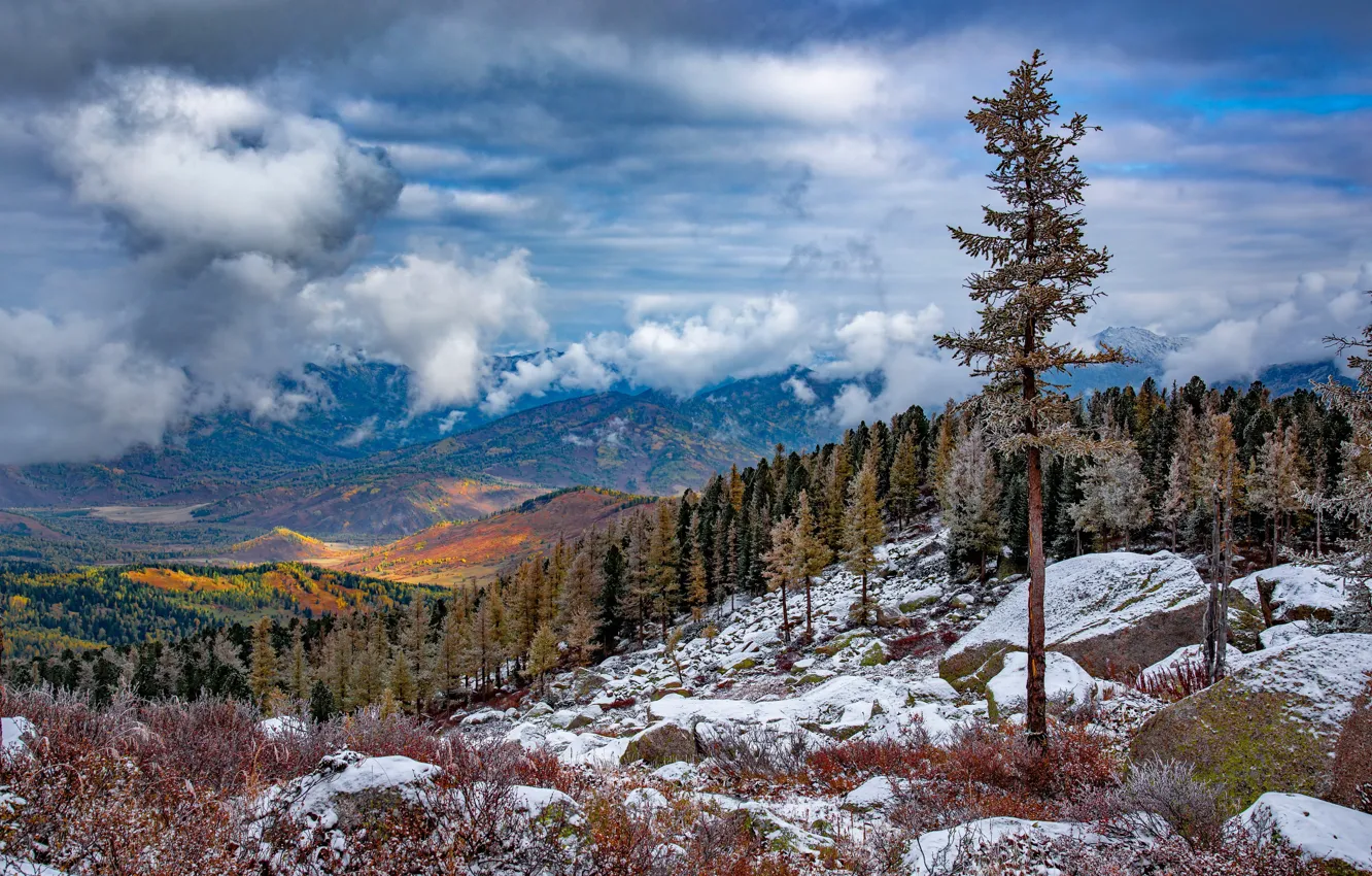 Photo wallpaper forest, clouds, snow, landscape, mountains, nature, Evgeny Drobotenko, Rudny Altai