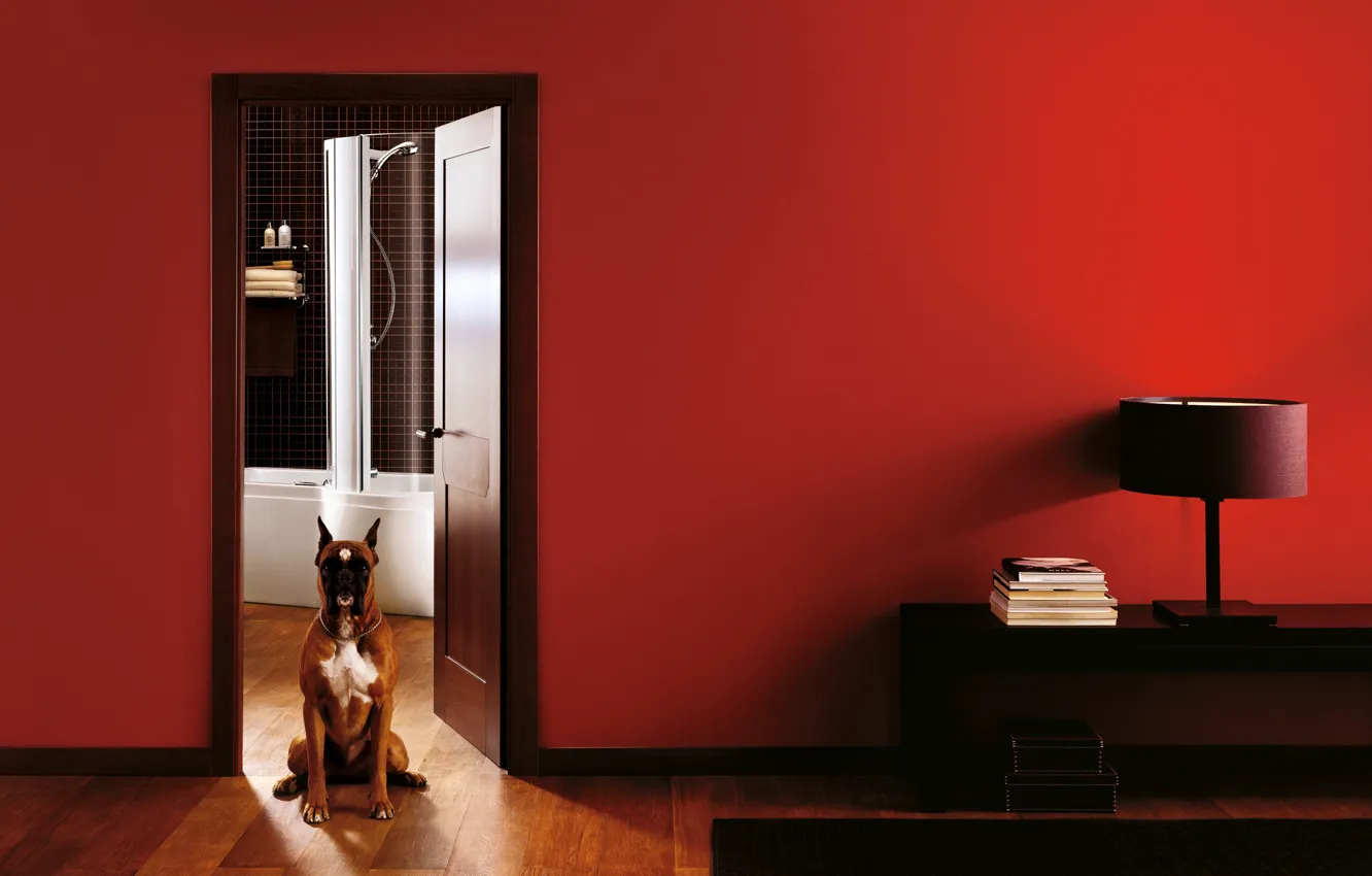 Photo wallpaper interior, chair, bathroom, doggie