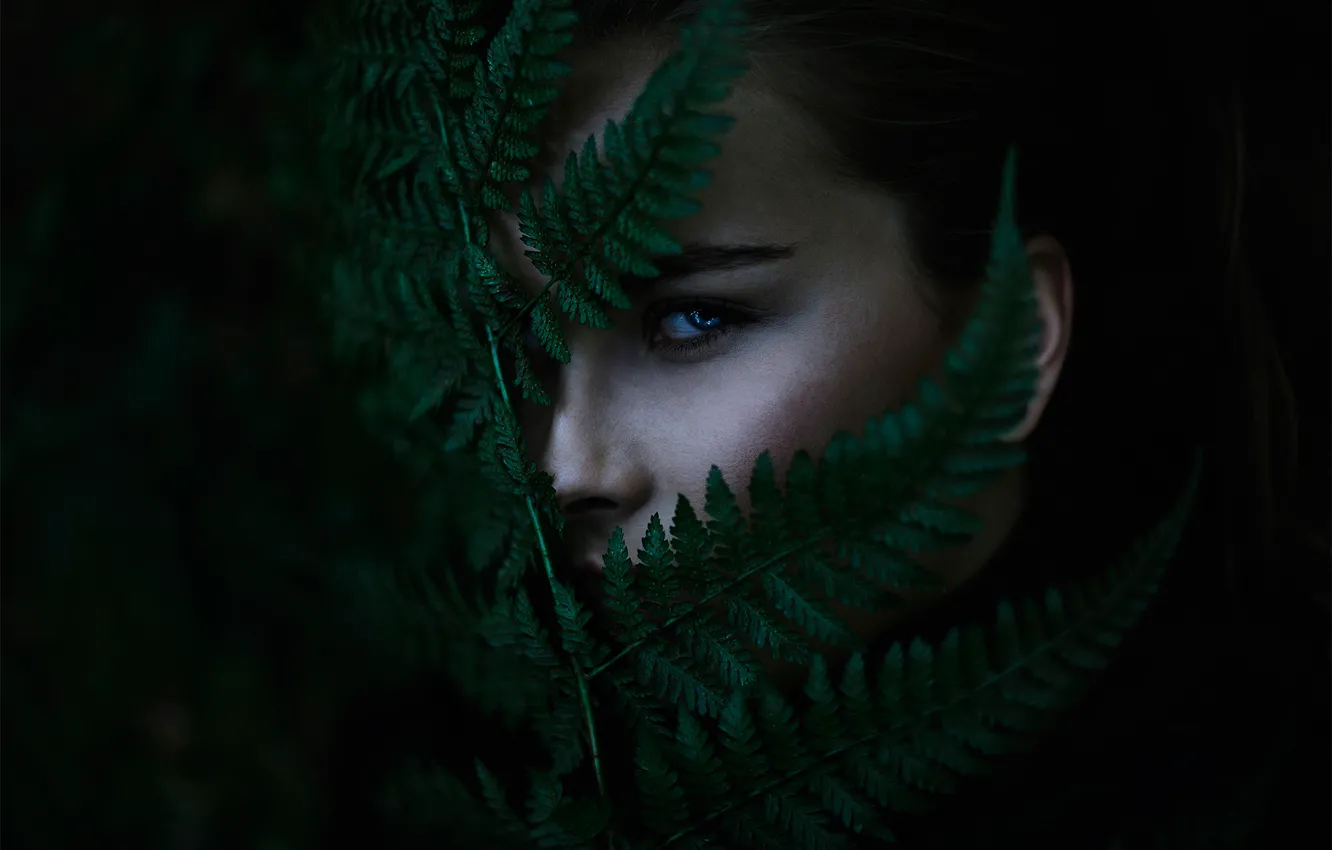 Photo wallpaper leaves, portrait, bokeh, Michael Farber