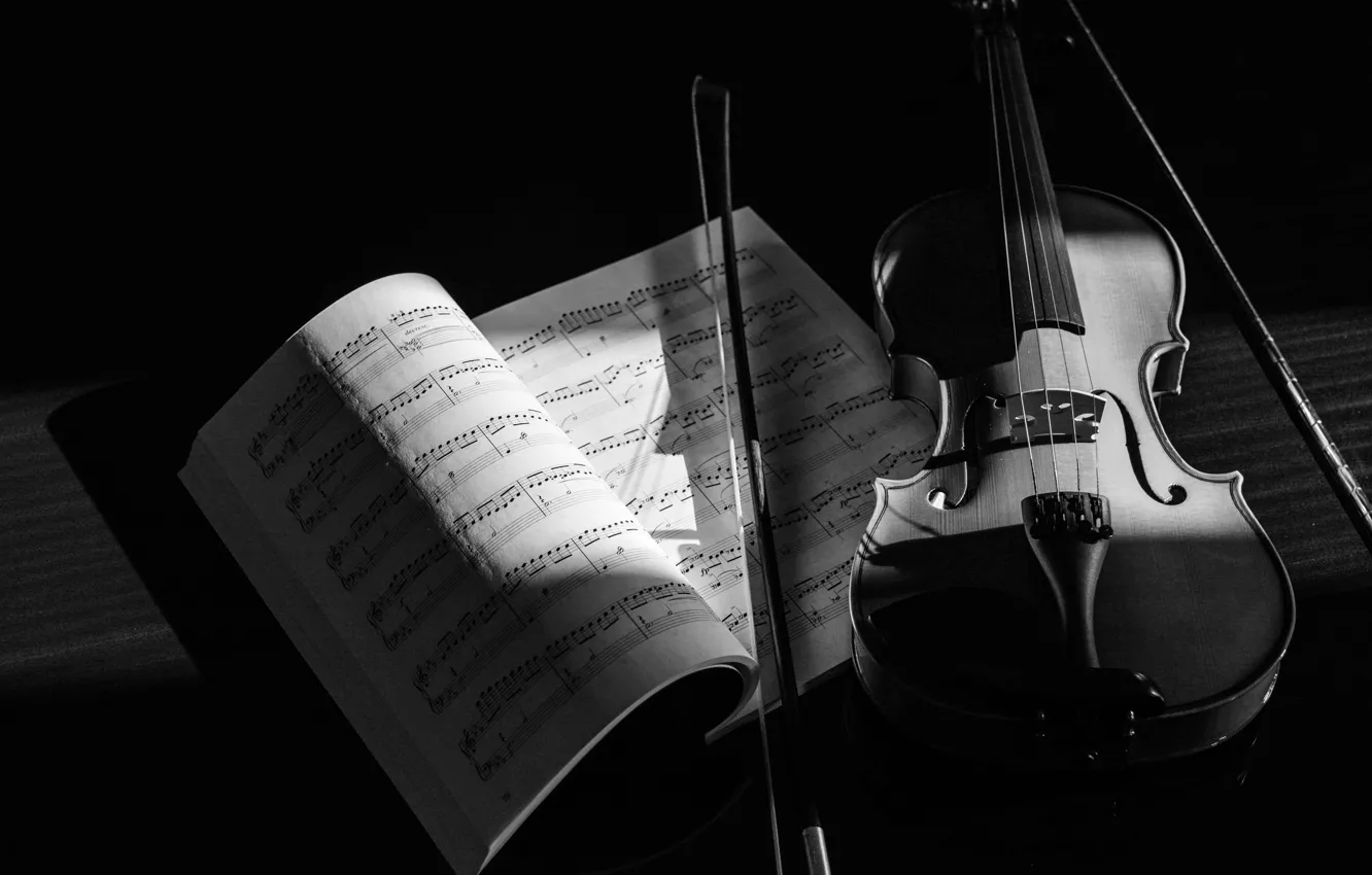 Photo wallpaper black & white, Music, violin, instrument, Sergey Zigle, Grades