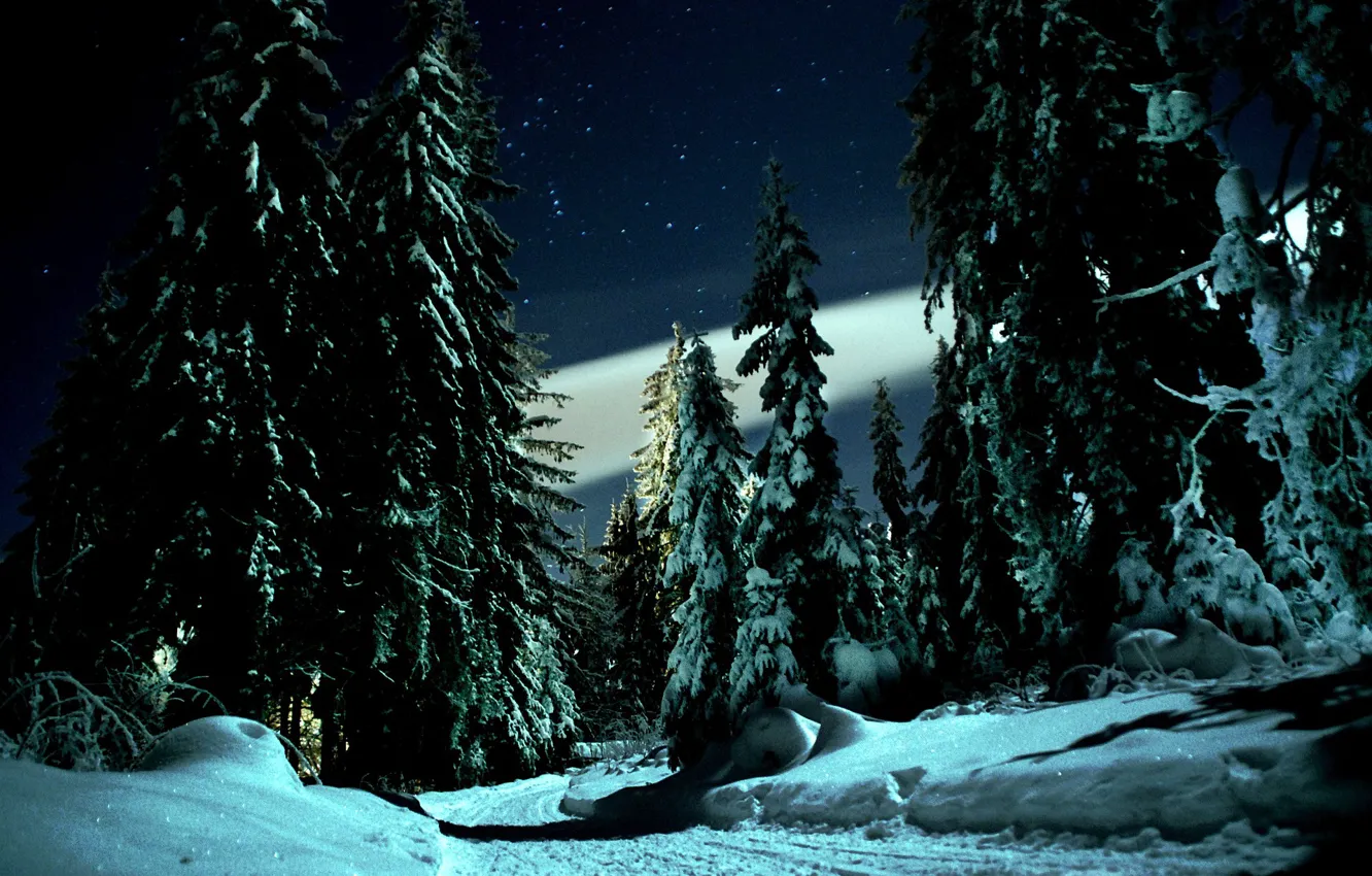 Photo wallpaper winter, road, stars, snow, trees, landscape, night, nature