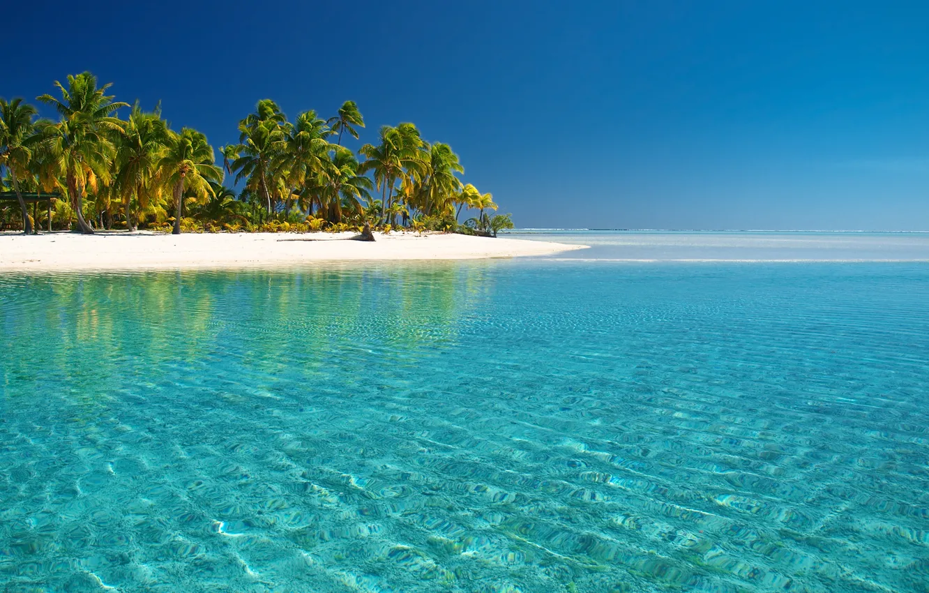 Photo wallpaper sea, beach, palm trees, the Pacific ocean, cook Islands, water transparency, the island of Aitutaki