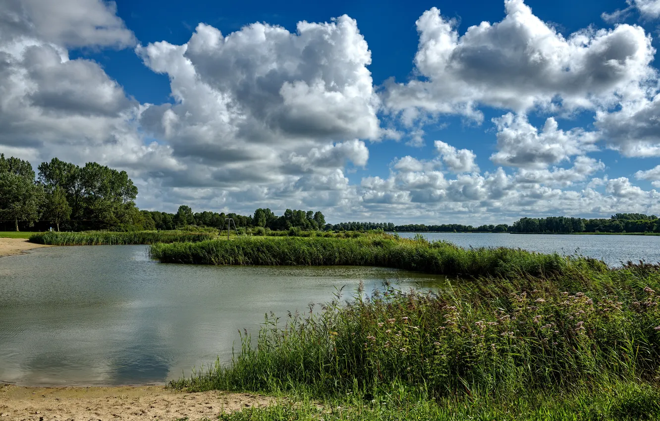 Photo wallpaper sand, the sky, grass, clouds, trees, river, reed, Netherlands