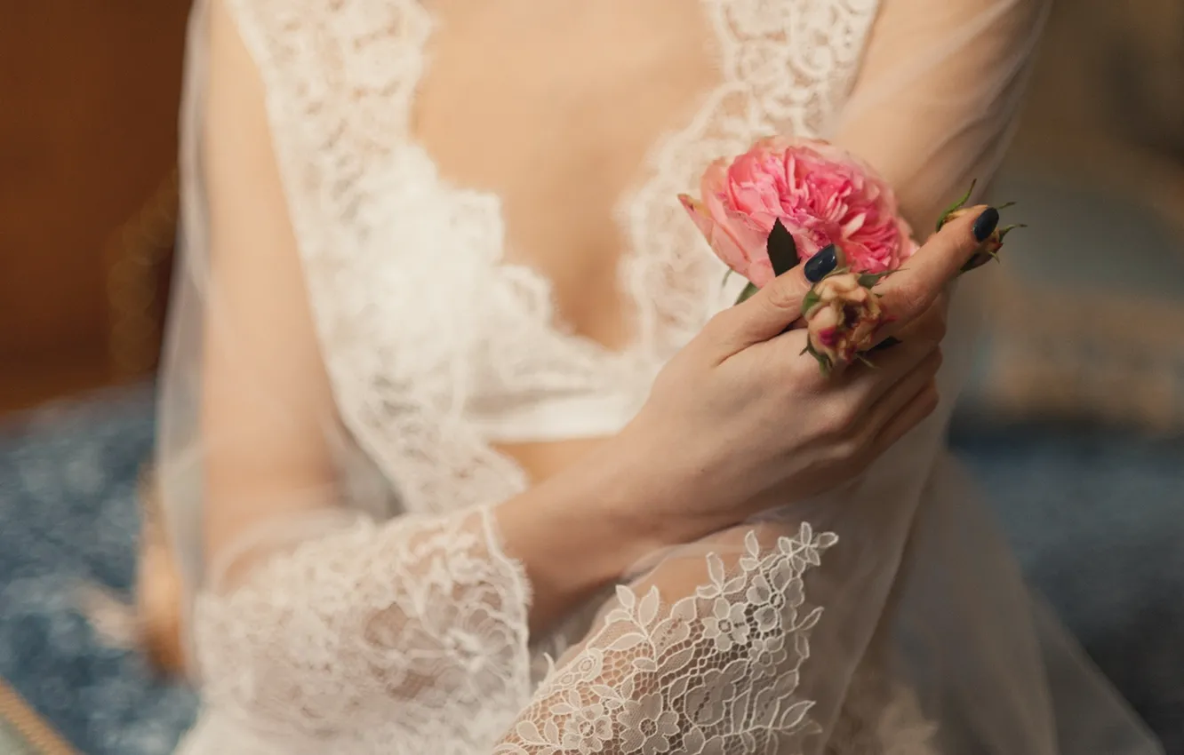 Photo wallpaper flowers, rose, hands, the bride