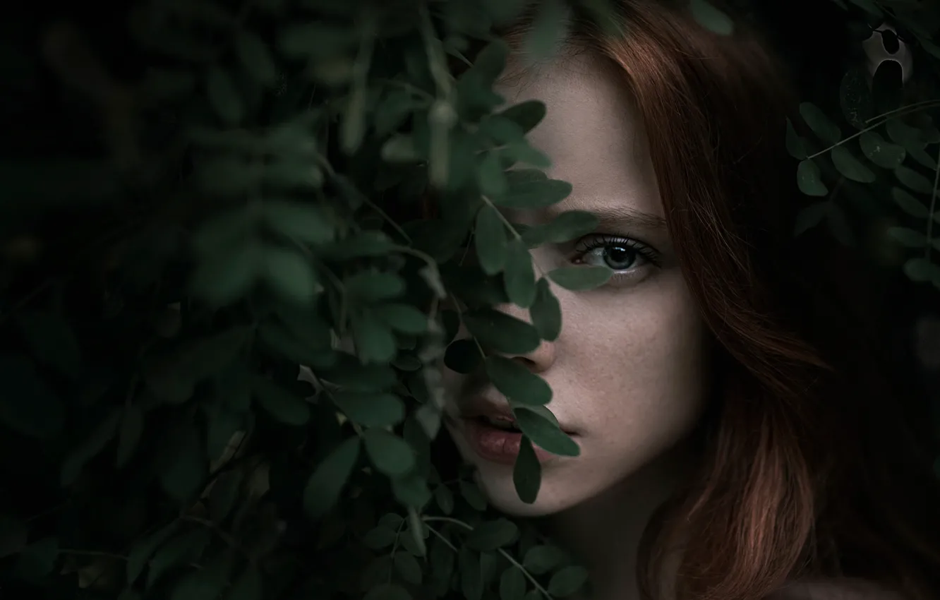 Photo wallpaper leaves, Kate, bokeh, Katyusha, George Chernyadev, Catherine Jasnogorodska