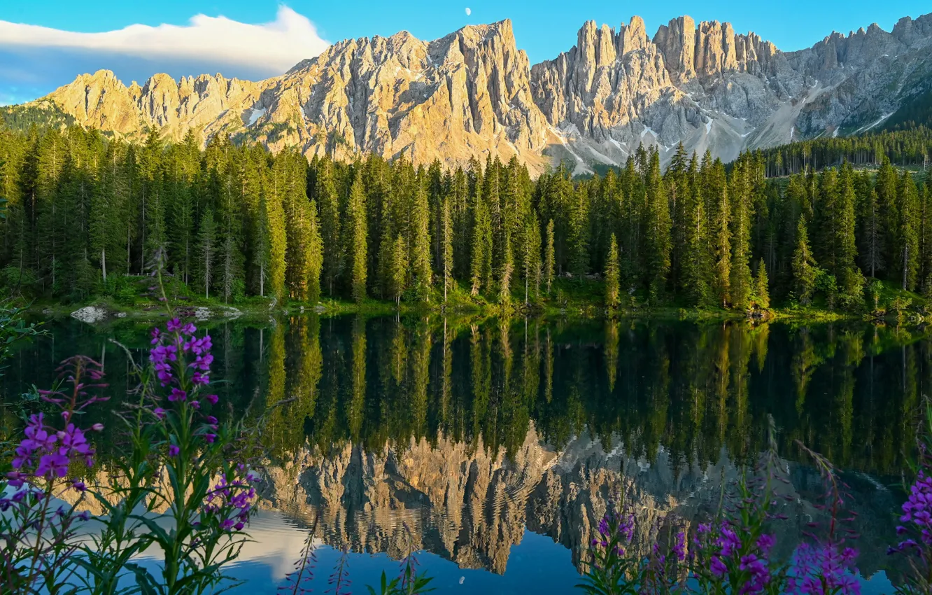 Photo wallpaper forest, flowers, mountains, lake, reflection, Italy, Italy, The Dolomites