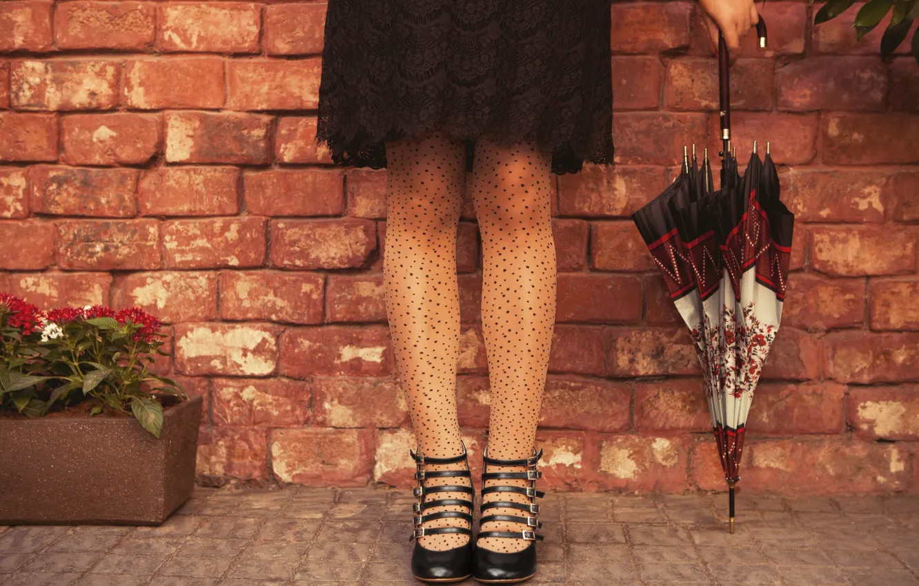 Photo wallpaper girl, flowers, umbrella, background, mood, Wallpaper, feet, umbrella