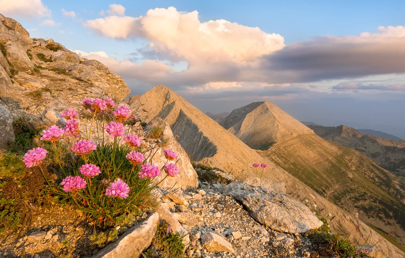 Photo wallpaper the sky, clouds, landscape, flowers, mountains, nature, rocks, sky