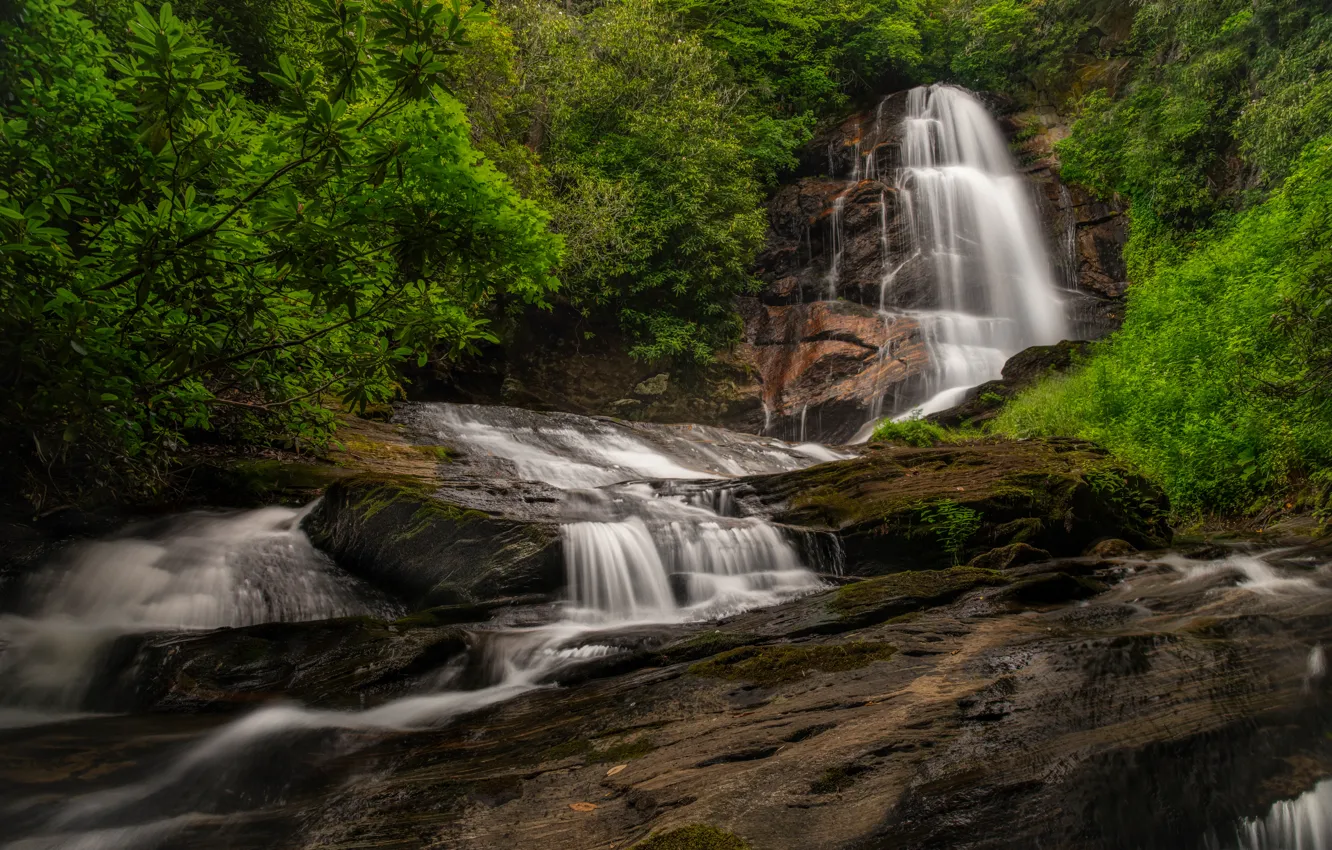 Photo wallpaper forest, rocks, shore, waterfall, stream